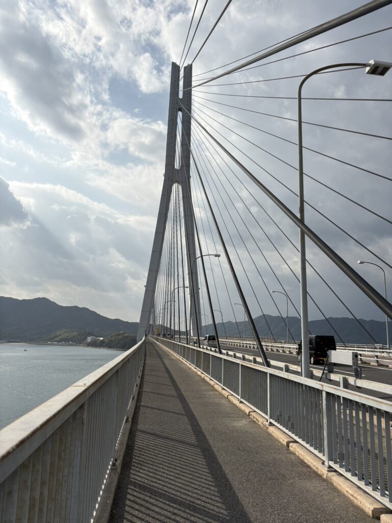 多々羅大橋の自転車道を走行しながら見上げる主塔とケーブルの迫力